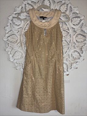 Alexia Admor Gold Eyelet Shift with Contrasting Cream Peter Pan Collar